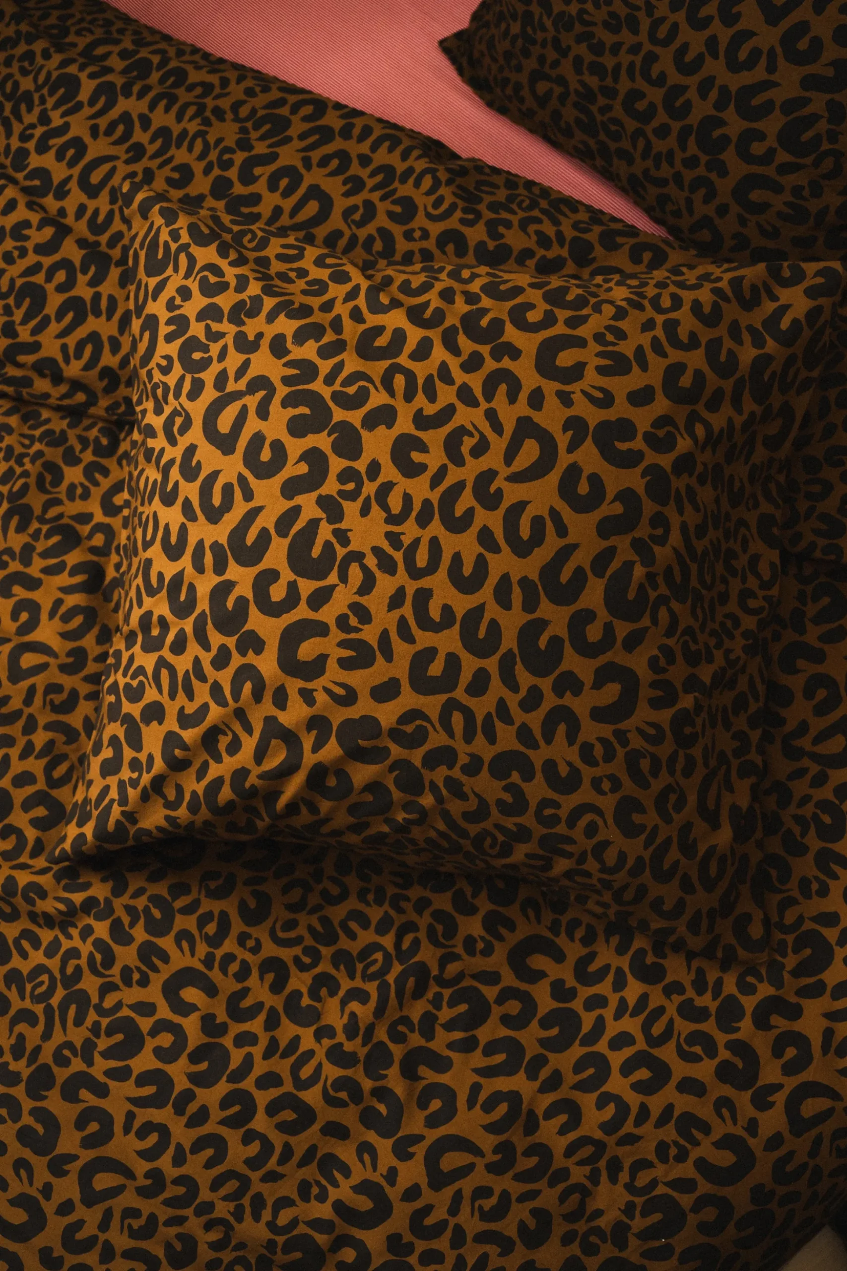 TAIE ABBY LEOPARD